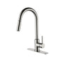 Kitchen Faucet with Pull Down Sprayer