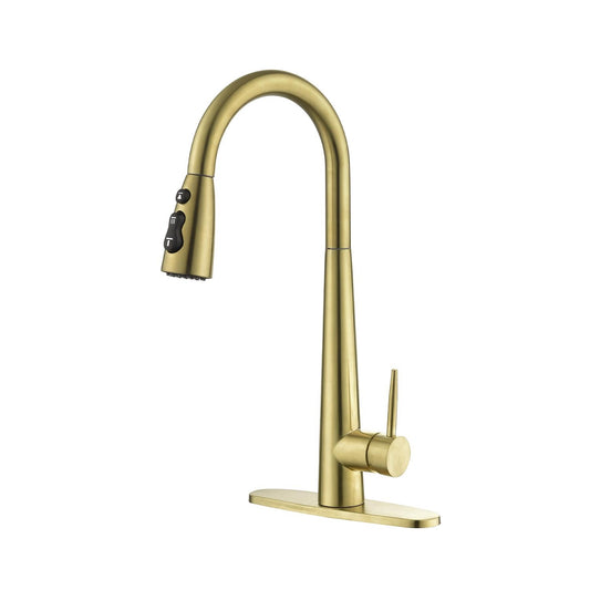 Kitchen Faucet with Pull Down Sprayer