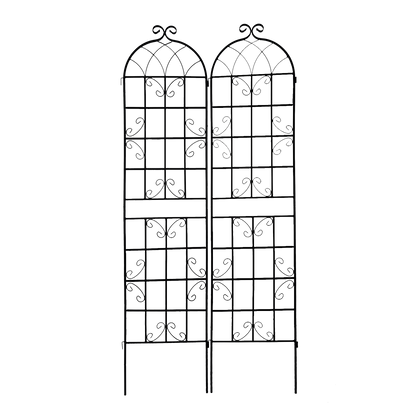 18480321