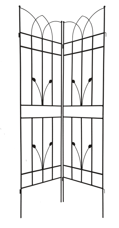 18481681