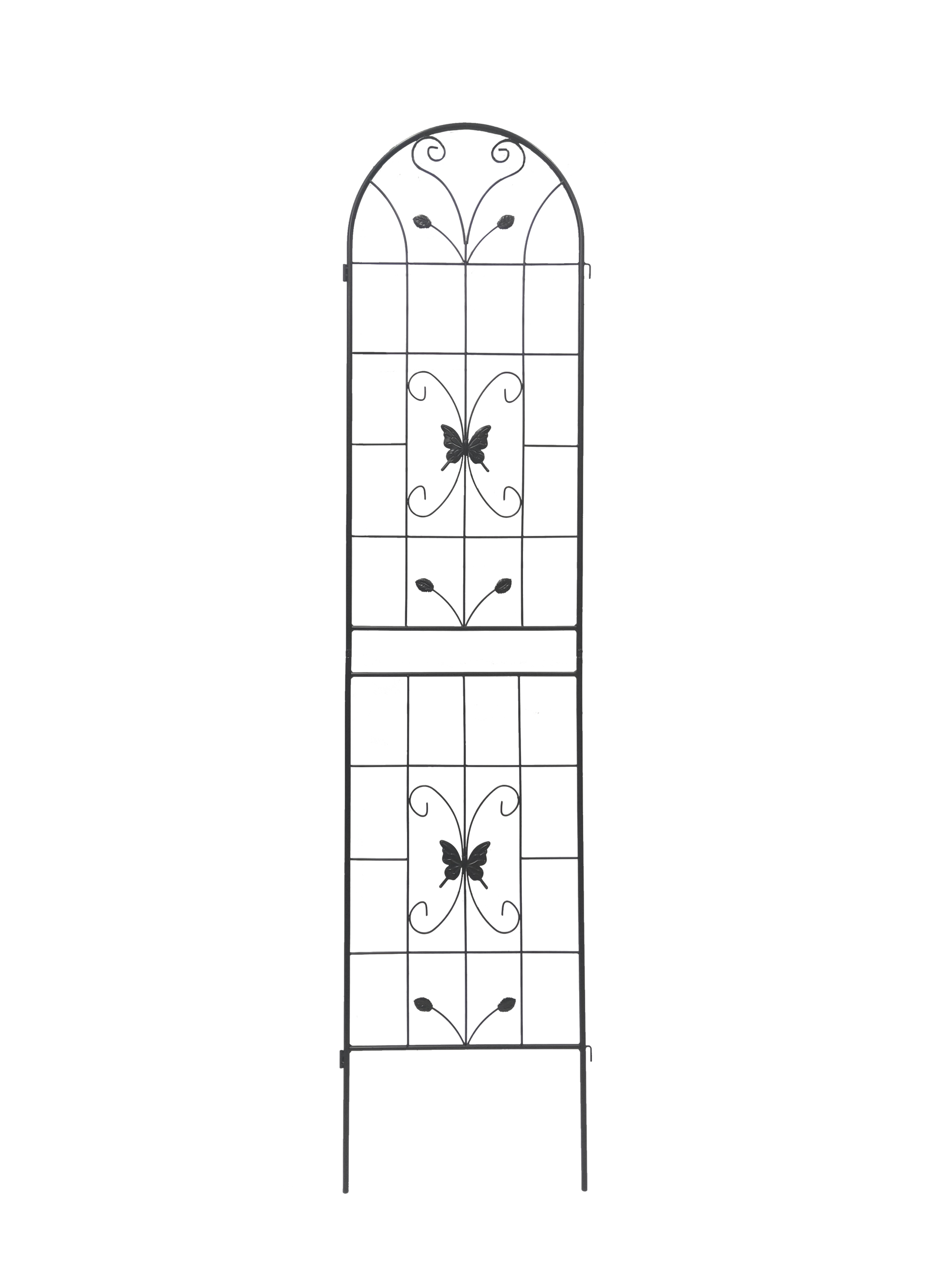 18480703
