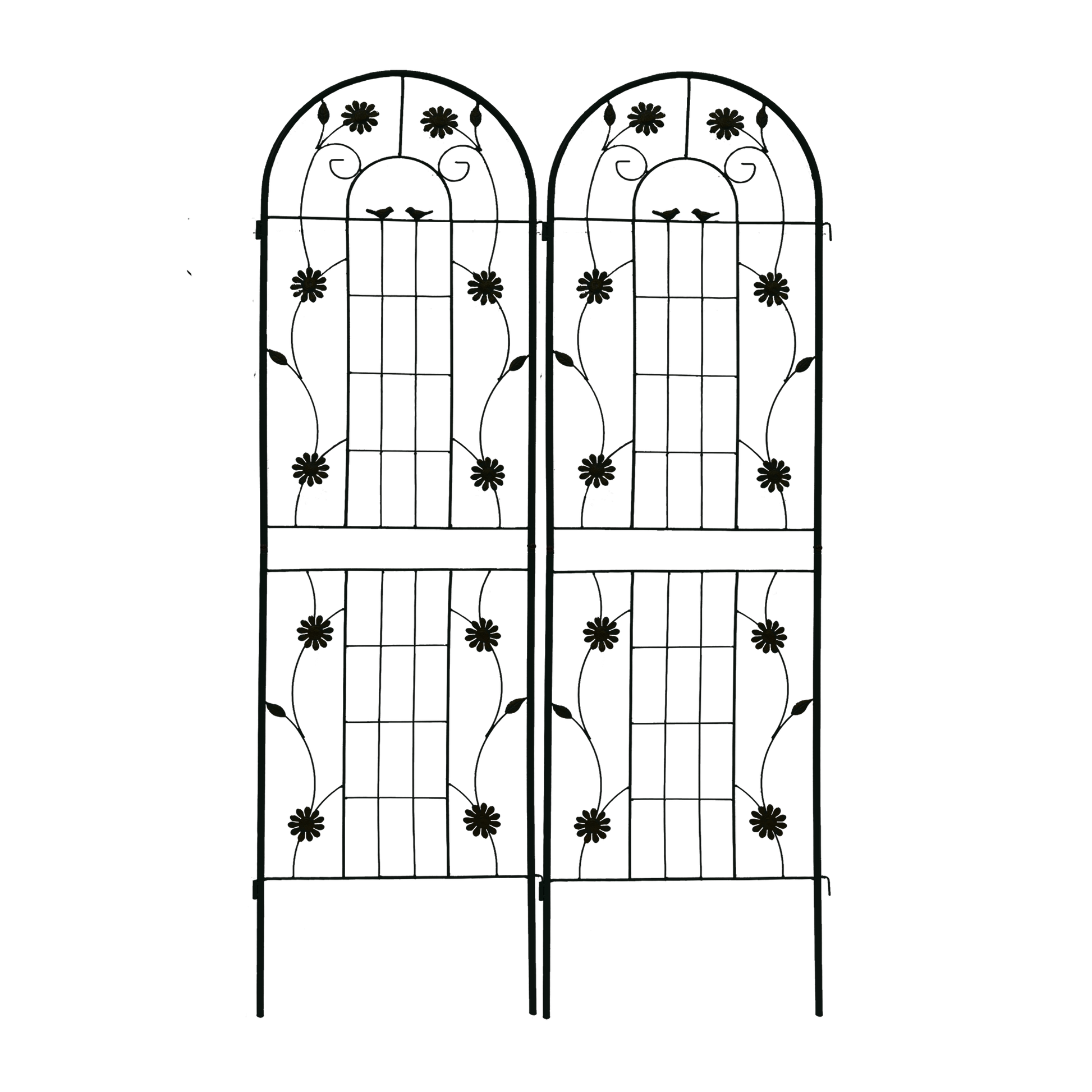 18480630