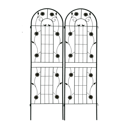 18480630