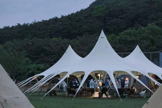 SAM&HAIBEI Thincker Canvas Waterproof Portable Tarp Multifunctional Outdoor Camping Traveling Awning Backpacking Tarp Shelter Rain Tarp,Big tarp for Family Active or Out Active. 289㎡ space Largr tarp.