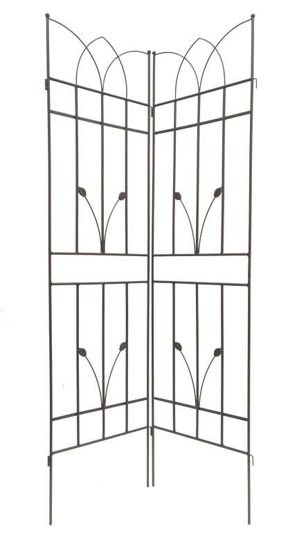 18481551