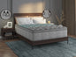 Restonic Comfort Care 10' Hybrid, Euro Top,  Individual Pocketed Coil Mattress , Plush Comfort, Queen