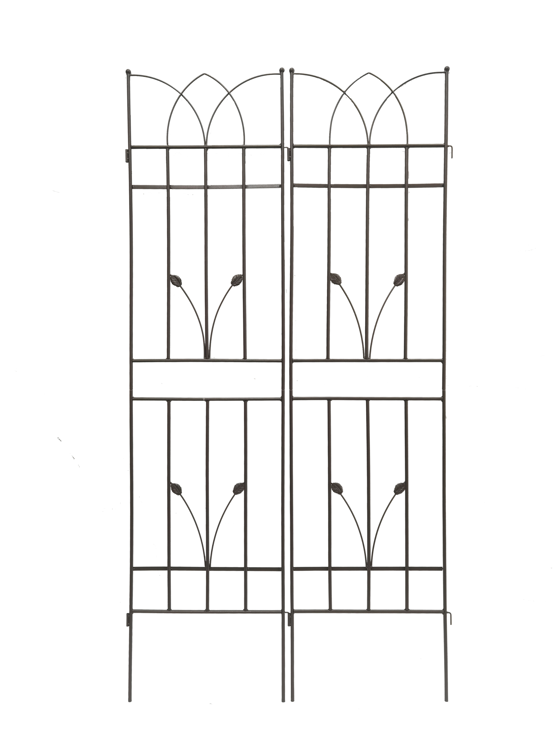18481697
