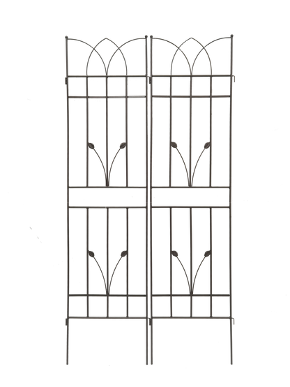 18481697