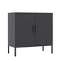 Metal Storage Cabinet with Doors and Adjustable Shelves, Steel Garage Storage Cabinet, Metal File Cabinet for Home Office School Gym, Black