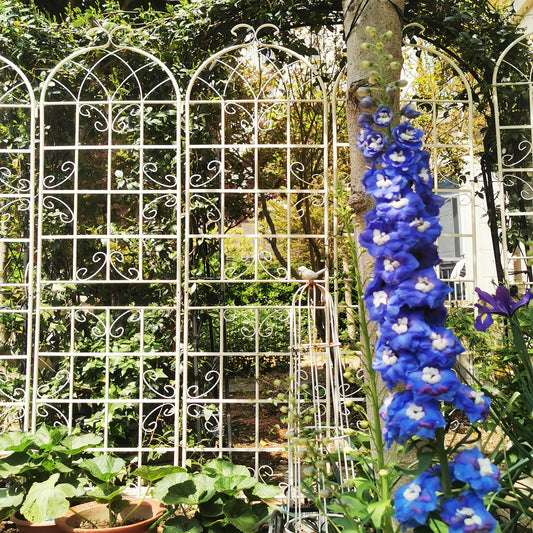 2 Pack Metal Garden Trellis 86.7' x 19.7' Rustproof Trellis for Climbing Plants Outdoor Flower Support Cream White