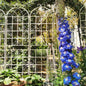 2 Pack Metal Garden Trellis 86.7' x 19.7' Rustproof Trellis for Climbing Plants Outdoor Flower Support Cream White