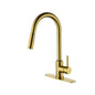 Kitchen Faucet with Pull Down Sprayer