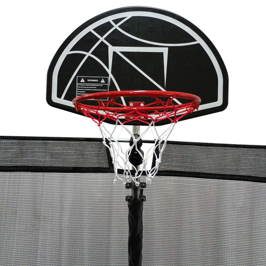 TD BASKETBALL HOOP