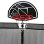 TD BASKETBALL HOOP